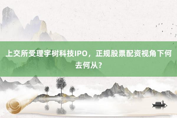 上交所受理宇树科技IPO，正规股票配资视角下何去何从？