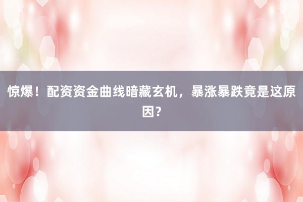 惊爆！配资资金曲线暗藏玄机，暴涨暴跌竟是这原因？