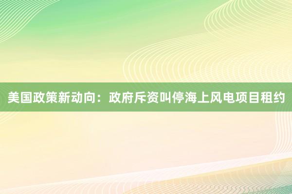 美国政策新动向：政府斥资叫停海上风电项目租约