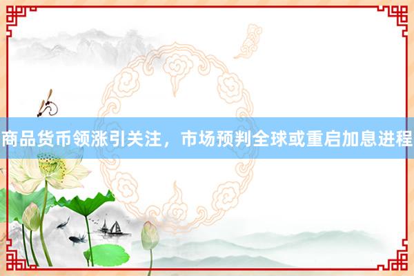 商品货币领涨引关注，市场预判全球或重启加息进程