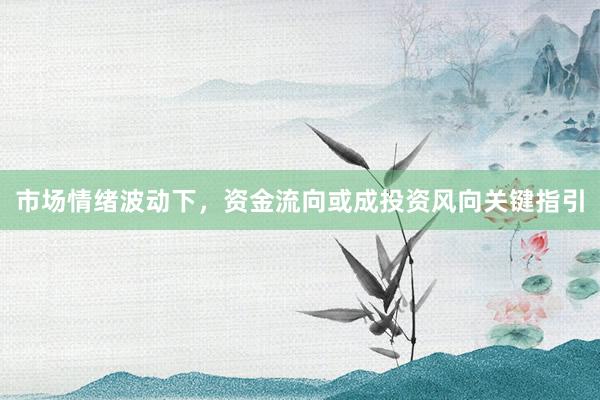 市场情绪波动下，资金流向或成投资风向关键指引