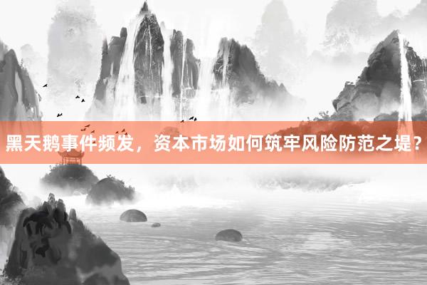 黑天鹅事件频发，资本市场如何筑牢风险防范之堤？