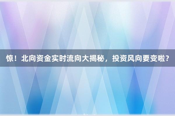 惊！北向资金实时流向大揭秘，投资风向要变啦？