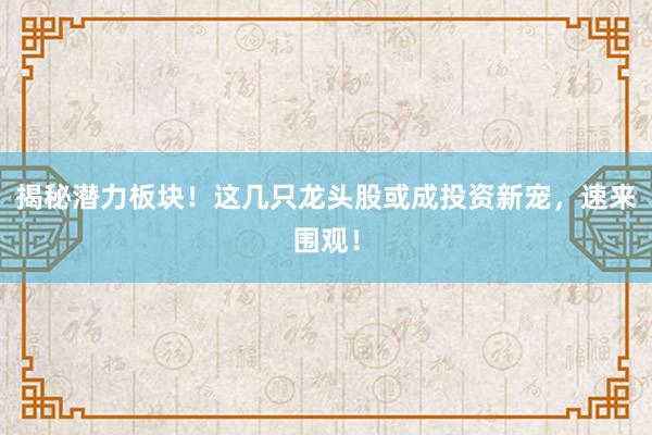 揭秘潜力板块！这几只龙头股或成投资新宠，速来围观！
