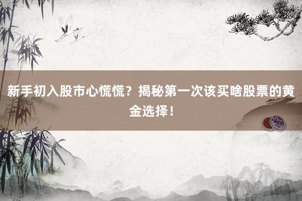 新手初入股市心慌慌？揭秘第一次该买啥股票的黄金选择！
