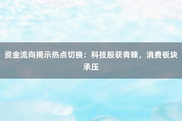 资金流向揭示热点切换：科技股获青睐，消费板块承压