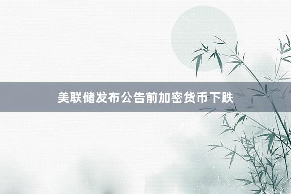 美联储发布公告前加密货币下跌