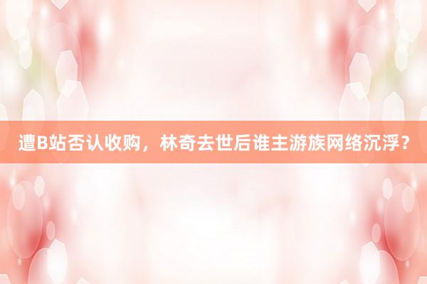 遭B站否认收购，林奇去世后谁主游族网络沉浮？