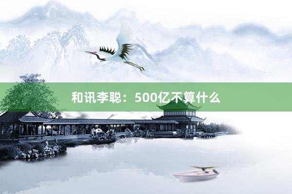 和讯李聪：500亿不算什么