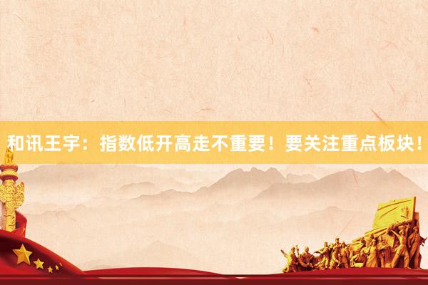 和讯王宇：指数低开高走不重要！要关注重点板块！