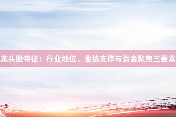 龙头股特征：行业地位、业绩支撑与资金聚焦三要素