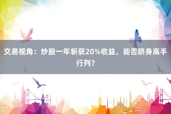 交易视角：炒股一年斩获20%收益，能否跻身高手行列？