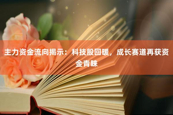 主力资金流向揭示：科技股回暖，成长赛道再获资金青睐