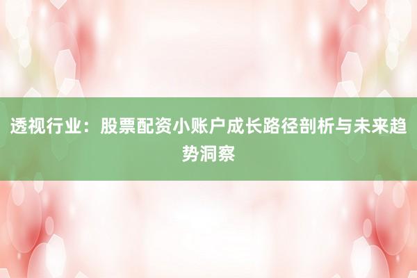 透视行业：股票配资小账户成长路径剖析与未来趋势洞察