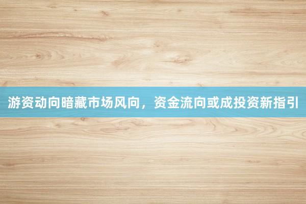 游资动向暗藏市场风向，资金流向或成投资新指引