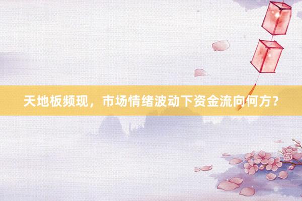 天地板频现，市场情绪波动下资金流向何方？