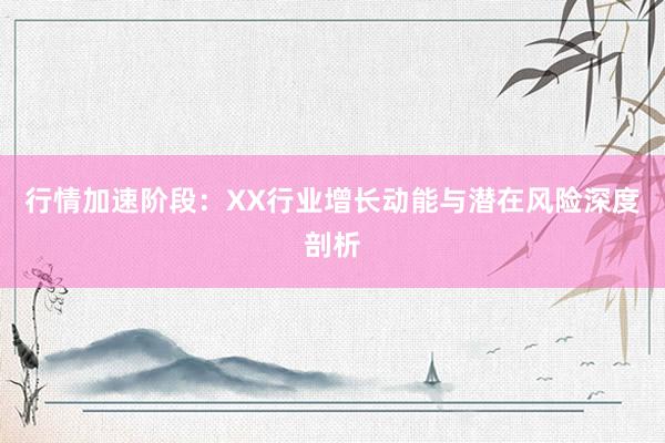 行情加速阶段：XX行业增长动能与潜在风险深度剖析