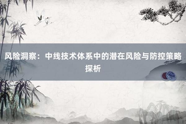 风险洞察：中线技术体系中的潜在风险与防控策略探析